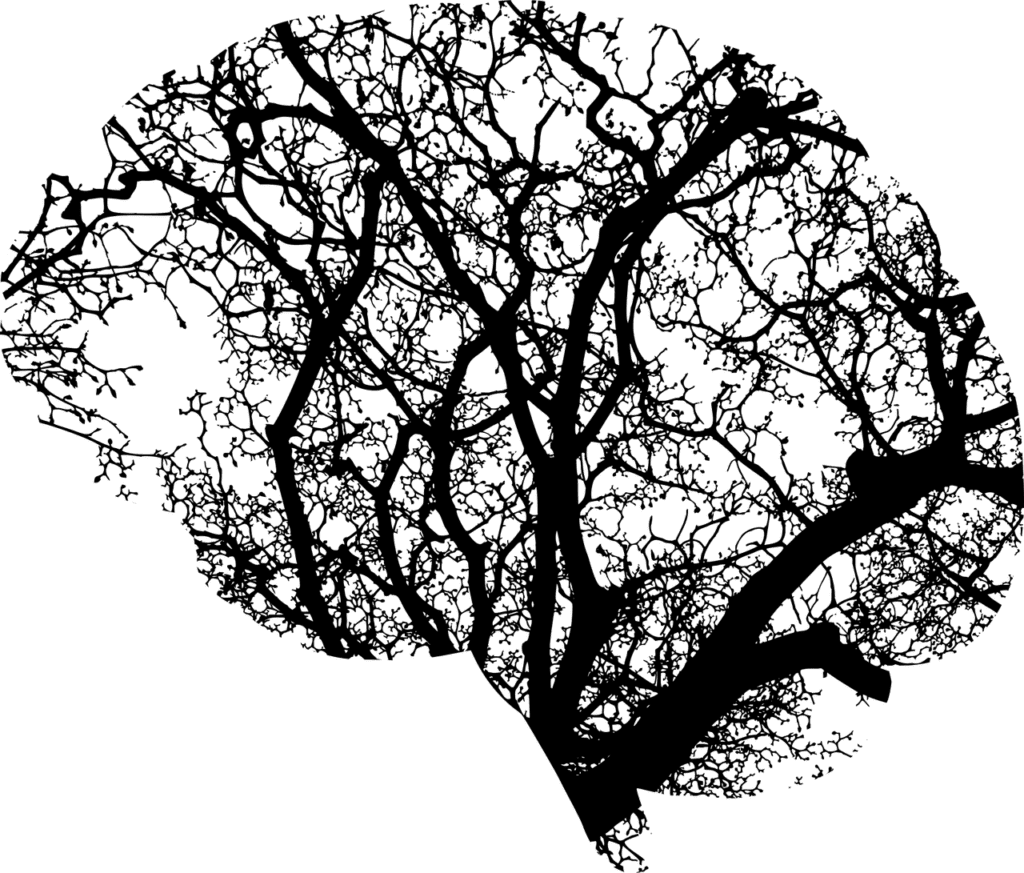 Family Therapy And Cyclothymic Disorder: Strengthening Relationships