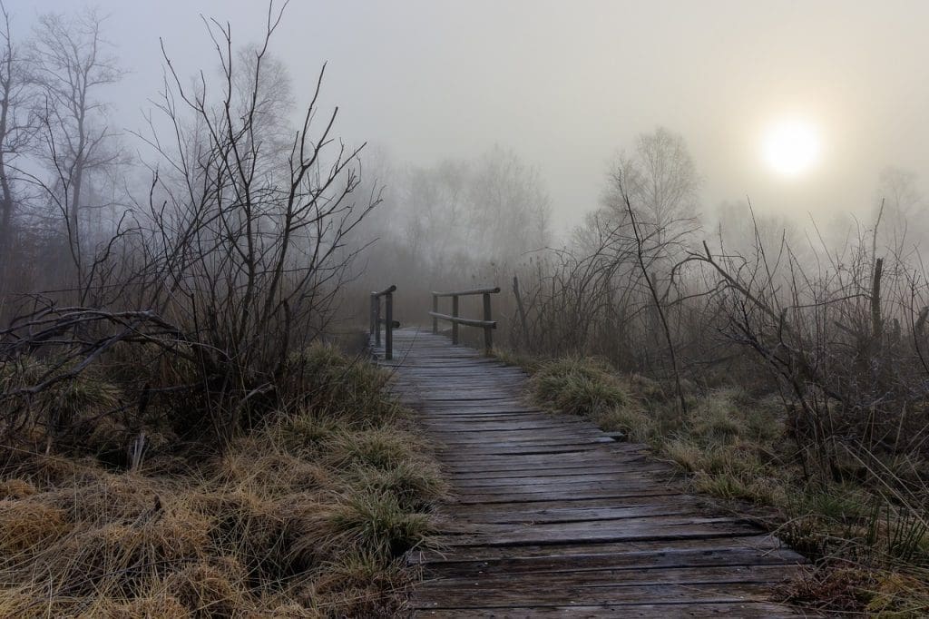 Self-Monitoring Mood: A Key Tool In Cyclothymic Disorder Management