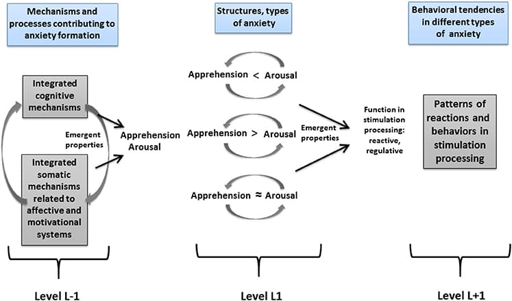 Emotional Regulation Strategies For Managing Cyclothymic Disorder
