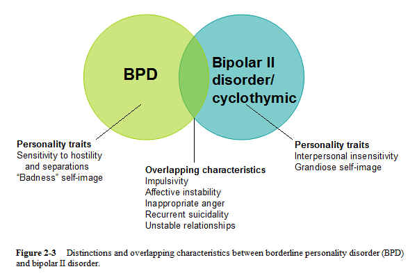 What Do Bipolar And BPD Look Like Together?